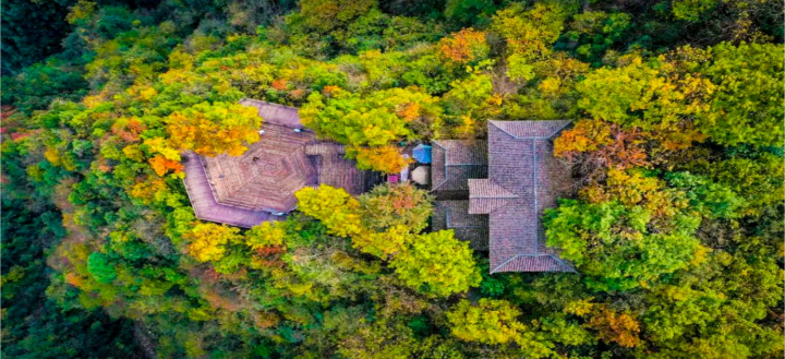 项目图片